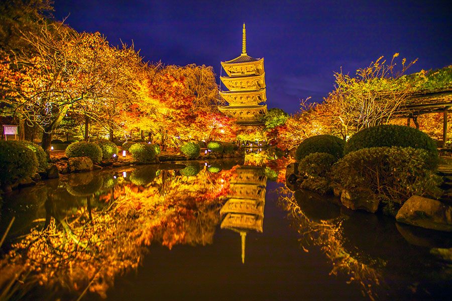 京都で人気の神社・寺　東寺　五重塔　紅葉　ライトアップ　世界遺産