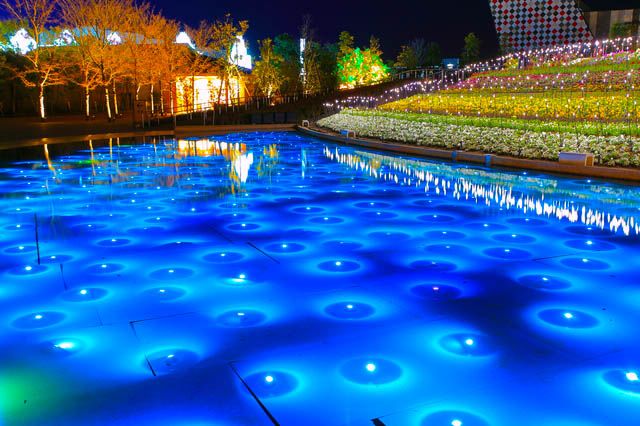 Illuminations that can be enjoyed all year round