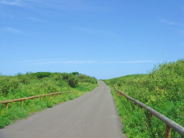 Ryugu Highway
