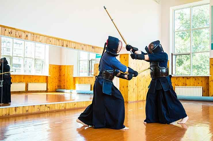 Martial Arts Types and Forms - Akal Japanese Academy - Blog