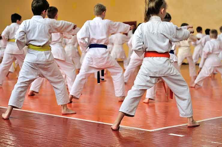 Japanese Martial Arts: Kendo, Sumo, Kyudo, Karate, Aikido and