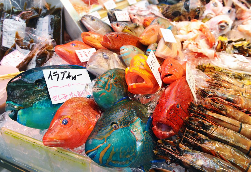 那覇市第一牧志公設市場のフロアガイド　鮮魚