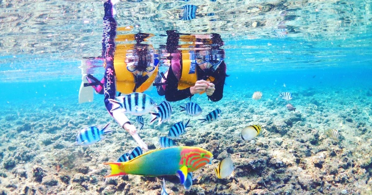 Snorkeling in Okinawa in March! Is it cold? What are the recommended spots?