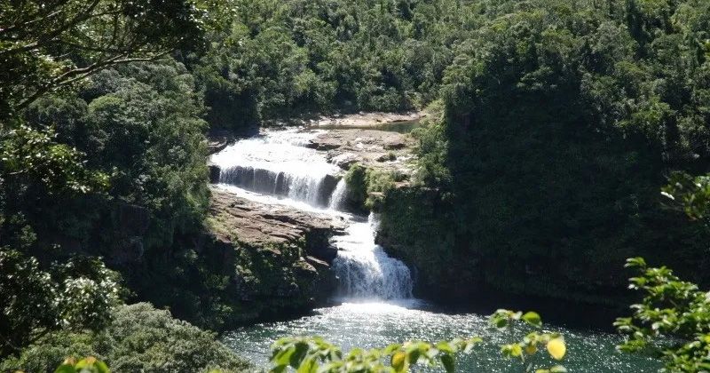 如何前往西表岛 Mariyudu 瀑布以及独木舟,徒步旅行和游船之旅的图片 评论/口碑图片