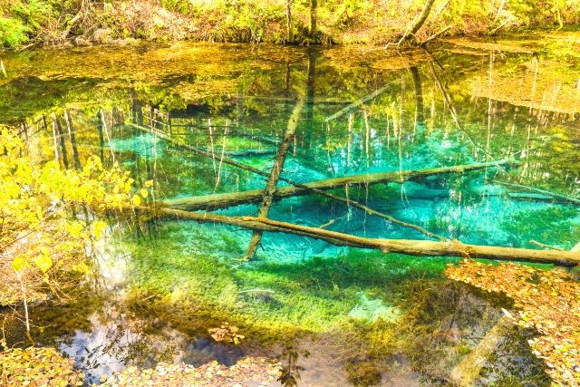 北海道　観光スポット　神の子池