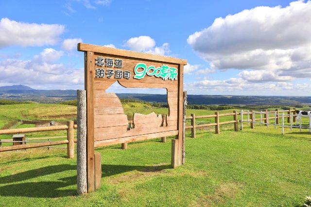 北海道　観光スポット　900草原（町営牧場）