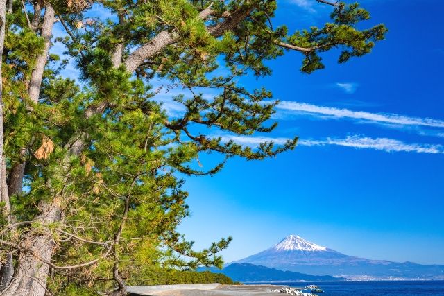静岡　三保の松原　絶景スポット　富士山