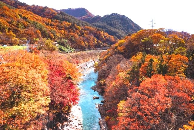Gunma Minakami Autumn Suwa Gorge