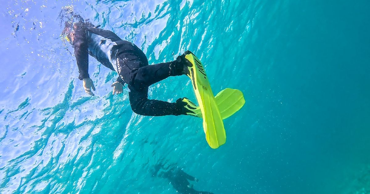 水納島 シュノーケリングツアー人気ランキングの画像