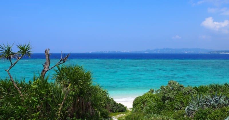 毎年6万人もの観光客が訪れる大人気の離島 水納島 の魅力や ビーチでの楽しみ方をご紹介 アクティビティジャパン