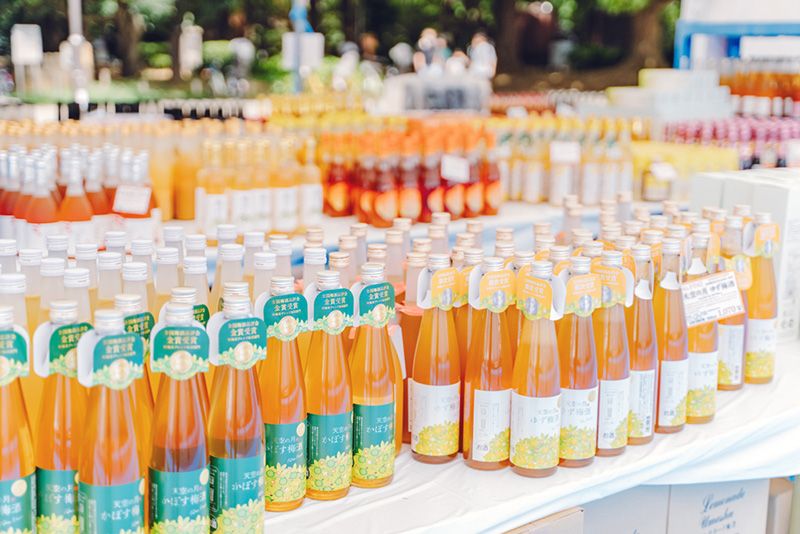 Mito Plum Festival National Plum Wine Festival in Mito 2024 Event Event Tokiwa Shrine Precincts Comparison of approximately 150 types of plum wine Plum wine beer Marriage where you can enjoy the combination of plum wine and food