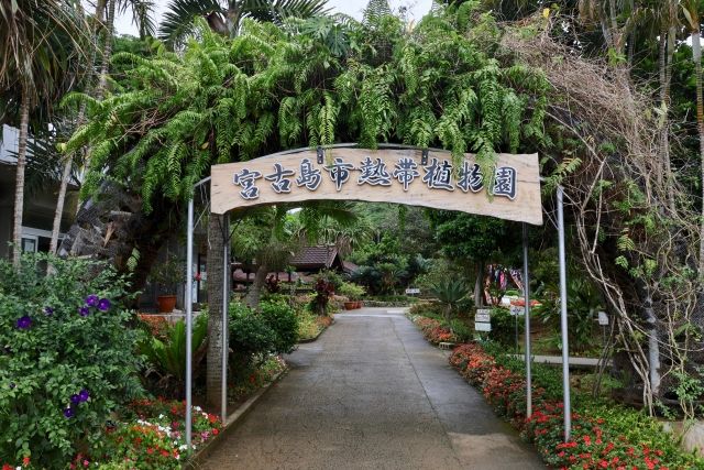 沖繩宮古島的宮古島熱帶植物園