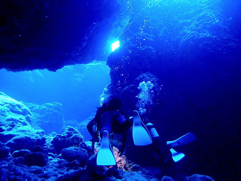 宮古島潛水執照獲得旅遊推薦人氣排名