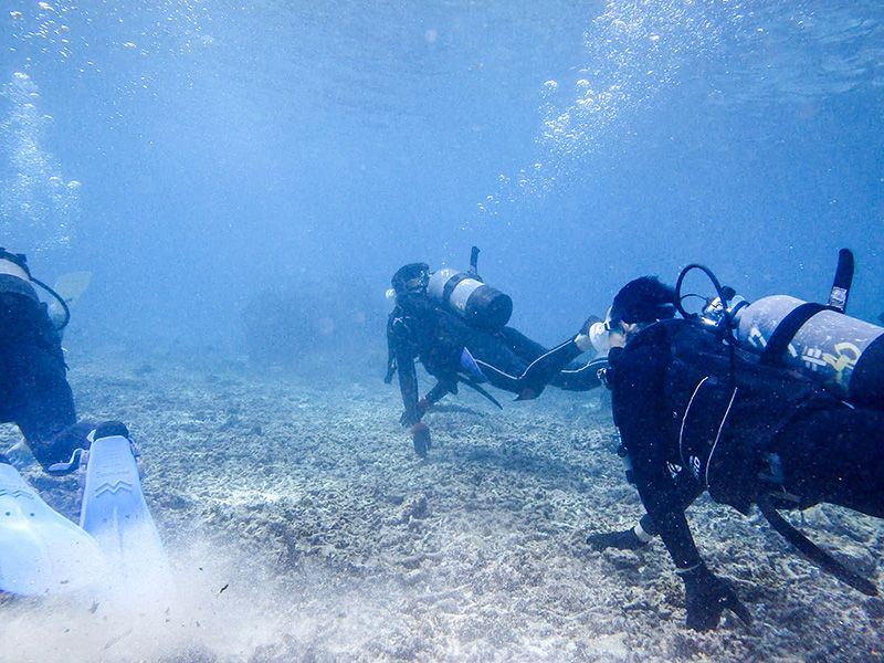 宮古島潛水執照獲得旅遊推薦人氣排名