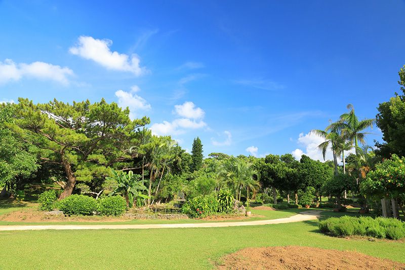 宮古島市熱帯植物園・体験工芸村の入園料金と所要時間