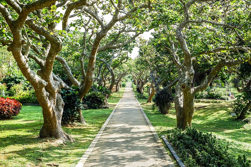 宮古島市熱帯植物園・体験工芸村の入園料金と所要時間