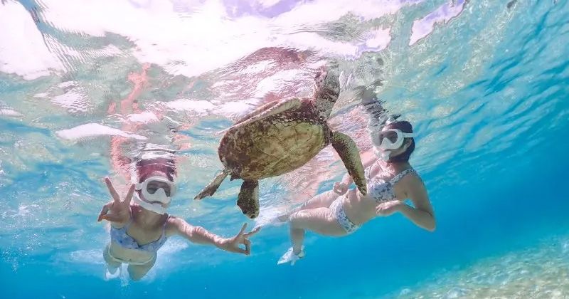 宮古島でシュノーケリングはいつからいつまでできる?ベストシーズンとおすすめツアーを徹底紹介!