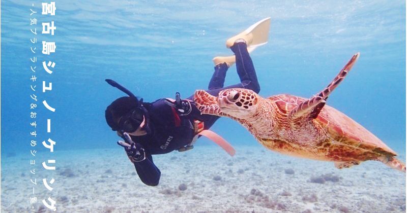 MiyakojimaSnorkelingRecommended spots&人気ツアーランキング