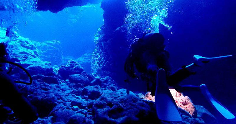 A thorough introduction to the three major geographical features of Miyakojima diving!