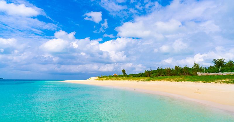 When is typhoon season in Miyakojima? A thorough investigation into the most frequent months and probabilities of typhoons, as well as the timing in 2026!