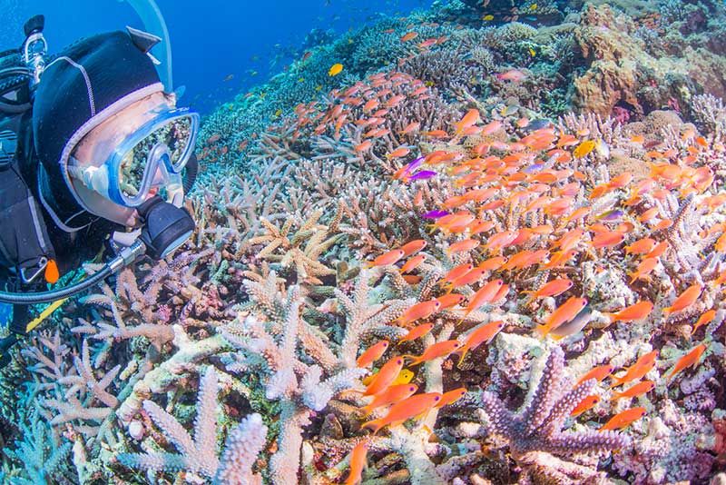 八重干瀬（やびじ）とは？宮古島にある日本最大級のサンゴ礁群を徹底紹介！