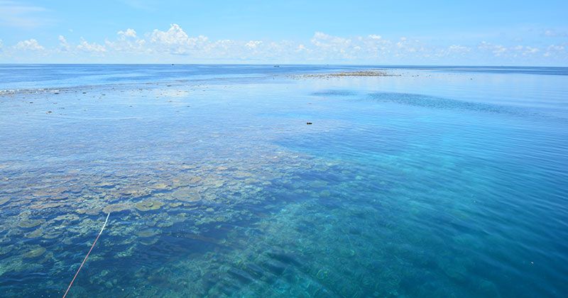 八重干瀬（やびじ）とは？宮古島にある日本最大級のサンゴ礁群を徹底紹介！