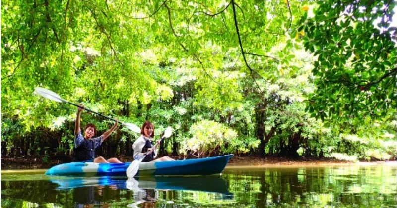 이시가키 섬 · 미야라가와 힐기 숲의 산책 · 맹그로브 카누 투어 리뷰 · 리뷰 정보를 소개!