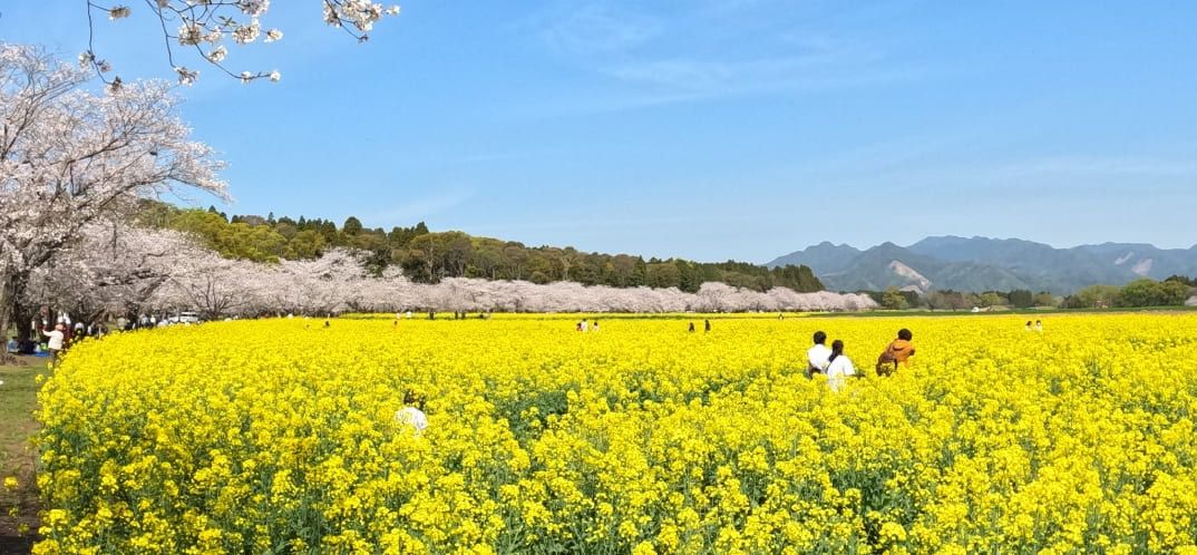 Images of the Saitobaru Burial Mounds