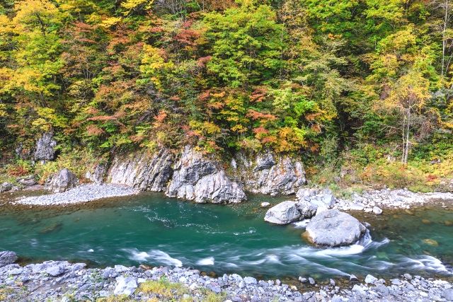 鵡川　秋　紅葉