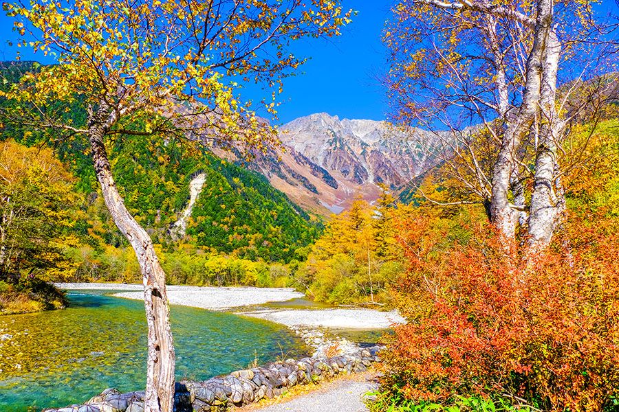 Nagano Autumn Sightseeing spot Kamikochi Azusa River and colorful autumn leaves Scenic spot Hotaka mountain range covered in snow National special scenic spot Special natural monument