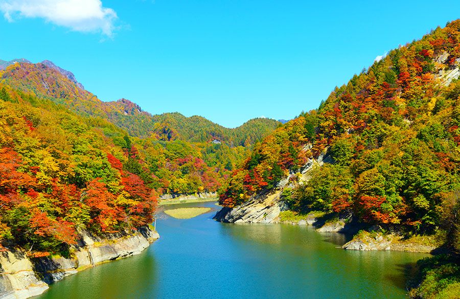 nagano autumn tourist attraction okususobana valley scenic spot sususobana river okususobana dam maple rowan colorful autumn leaves