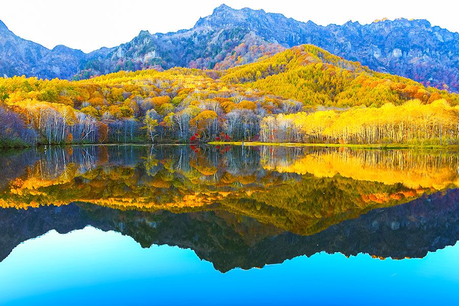 长野秋季旅游景点 户隐森林植物园 加贺美池 美丽的红叶,山脉和水面倒影的梦幻般的颠倒景观