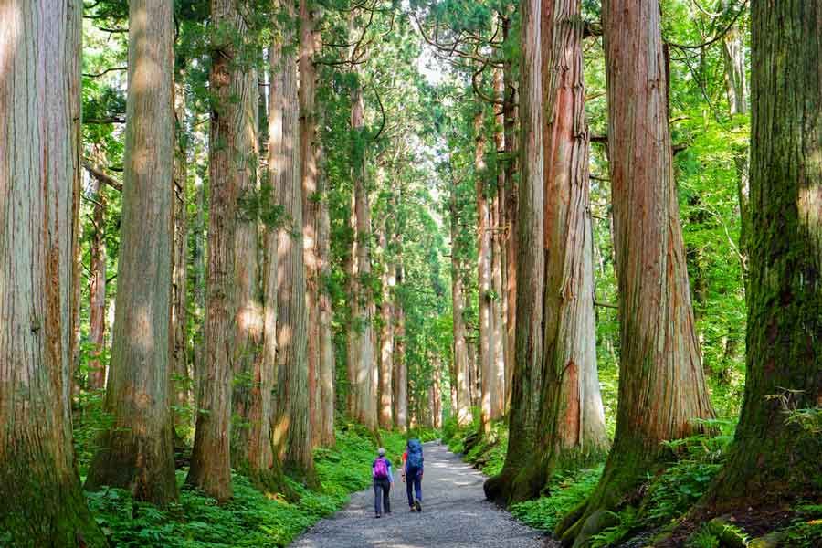 best time to visit nagano