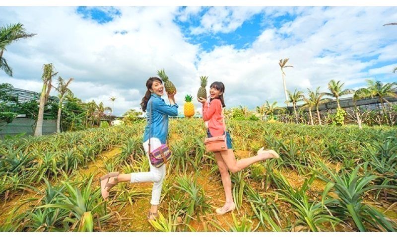 Woman enjoying Nago Pineapple Park