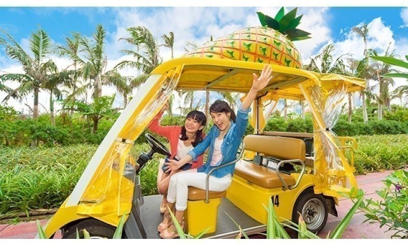 Nago Pineapple Park Jumbo Tours Inc.