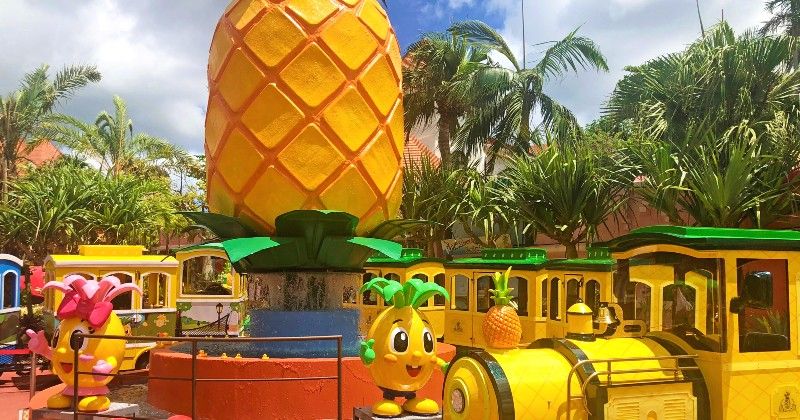 Features & Highlights of Nago Pineapple Park