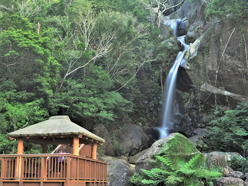 沖縄・名護周辺の滝4選！行き方と場所・地図を紹介！