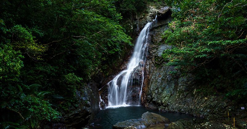 沖縄・名護周辺の滝4選！行き方と場所・地図を紹介！