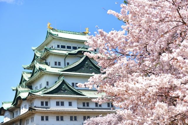 名古屋　女子旅　おすすめスポット　名古屋城と桜
