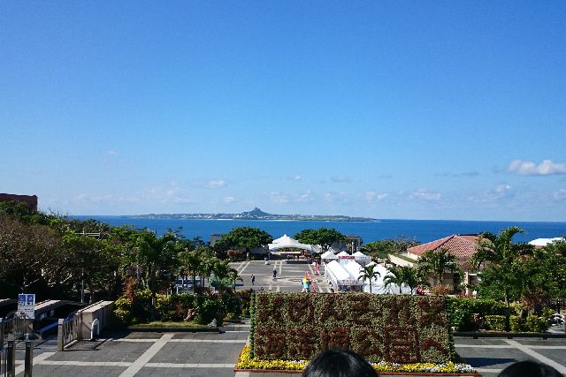 Ocean Expo Park (Okinawa Memorial National Government Park), where the popular Okinawa Prefecture spot "Churaumi Aquarium" is located