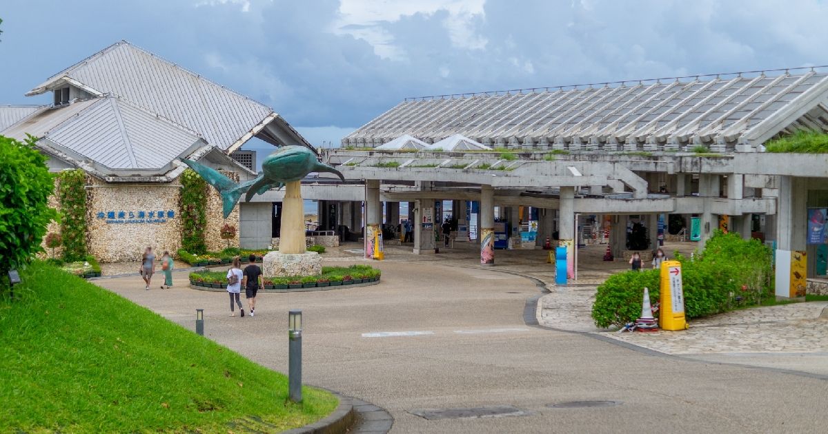 从那霸机场前往美丽海水族馆的交通方式 | 高速巴士,汽车,出租车的图片以及推荐绕行的景点