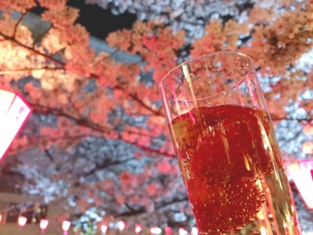 Nakameguro Meguro River Cherry Blossom Viewing