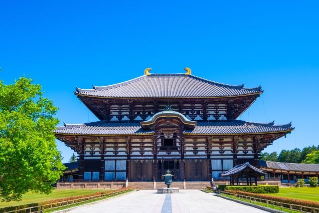 晴朗的日子里的奈良东大寺