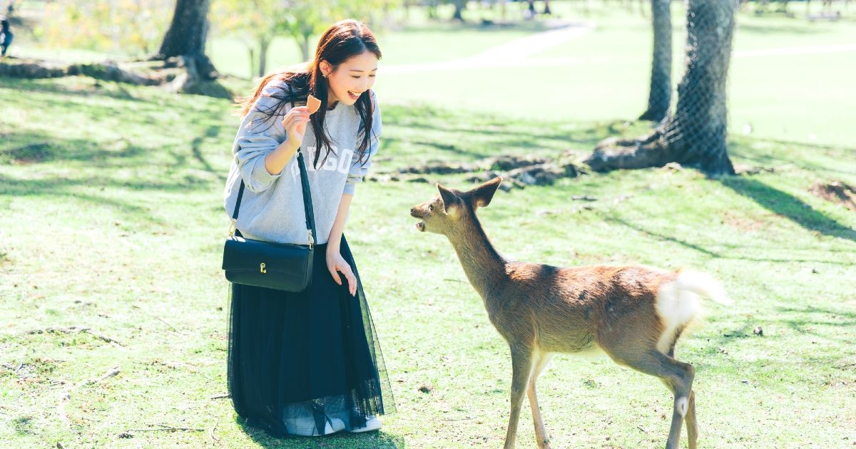 [2025] 10 recommended date spots in Nara! From classics to hidden gems, must-see photos for couples