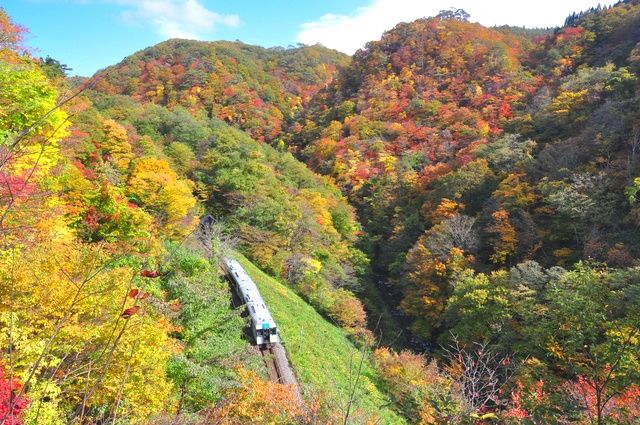 JR Rikuu Higashi Line and autumn leaves visible from Naruko Gorge/Nakayamadaira Promenade