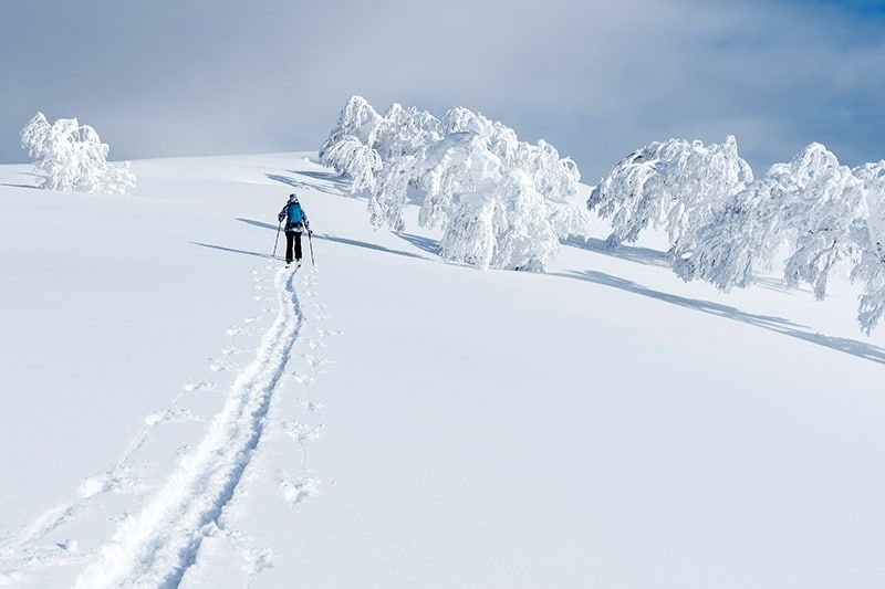 什麼是偏遠地區？滑雪板/滑雪推薦旅遊和人氣排名