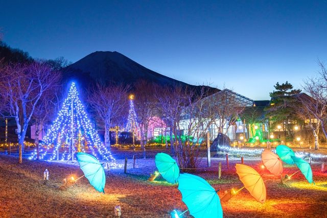 山梨县县,幻彩灯光秀和富士山