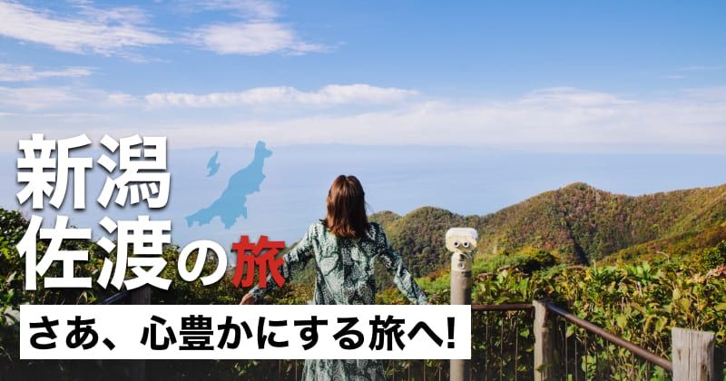 新潟文化計畫｜新潟·佐渡地區之旅體驗活動！的影像