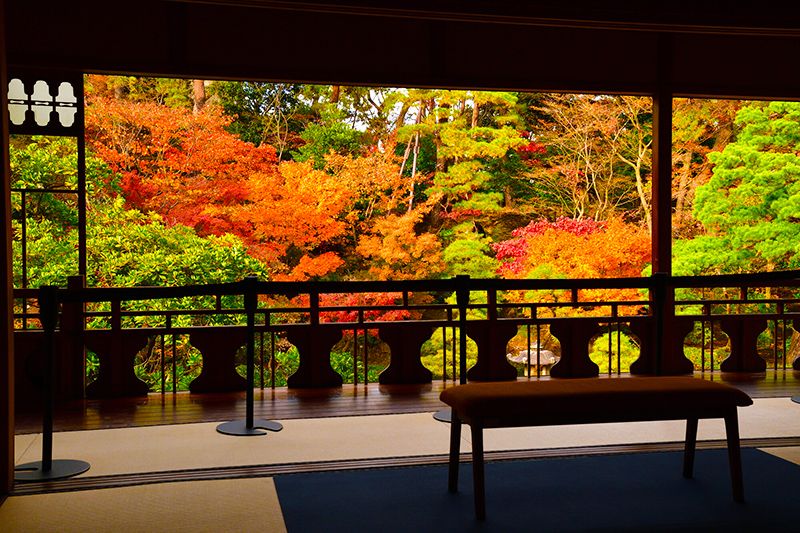 Niigata sightseeing model course 1 night 2 days Recommended spots for first-time visitors Sightseeing spots Former Saito family villa Beautiful garden Designated as a scenic spot Autumn leaves Niigata's three major conglomerates National monument