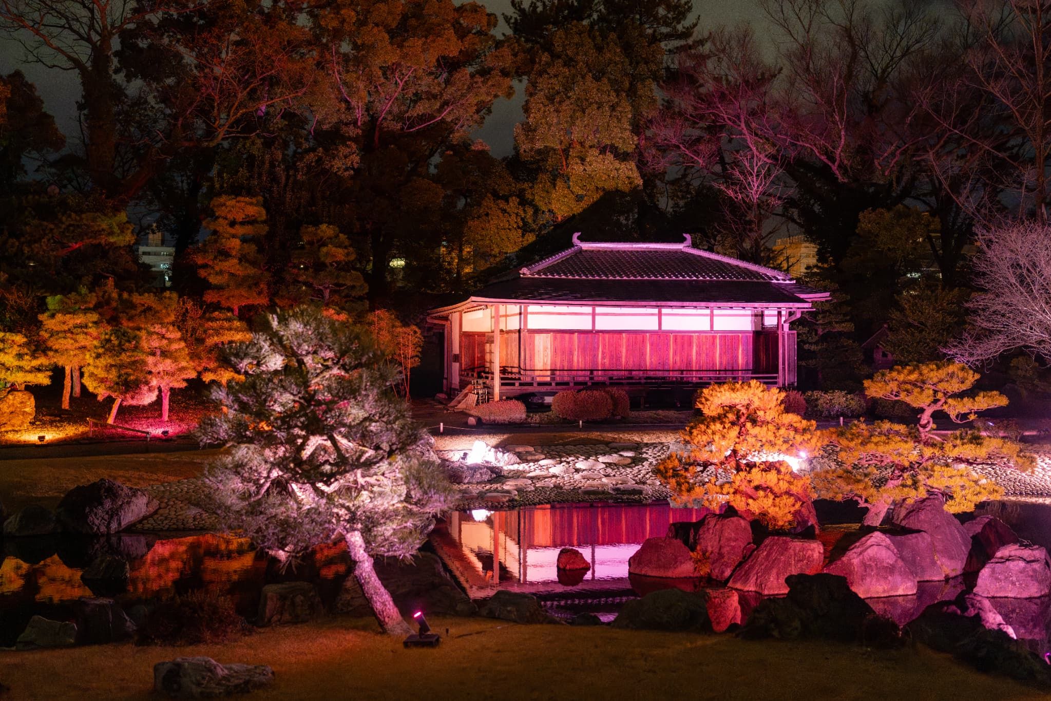 Image of the Kountei illumination at NAKEDmeets Nijo Castle 2025